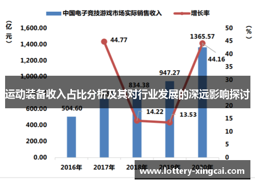 运动装备收入占比分析及其对行业发展的深远影响探讨